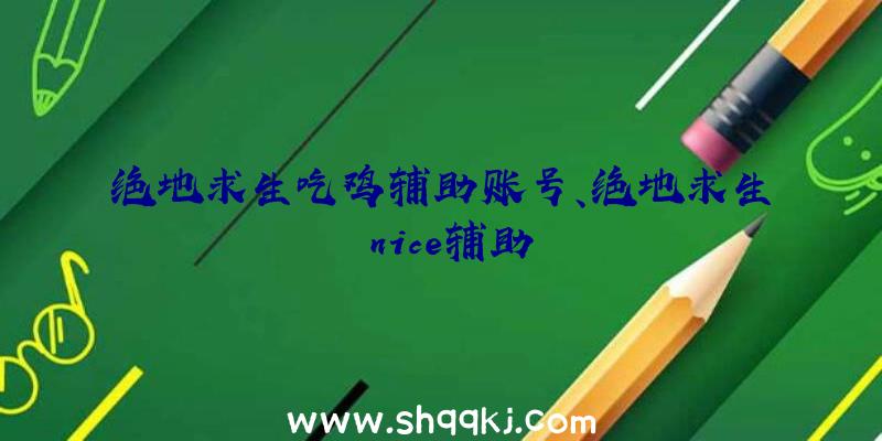 绝地求生吃鸡辅助账号、绝地求生